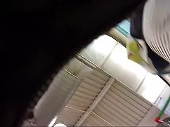 Puño de mierda delan ...